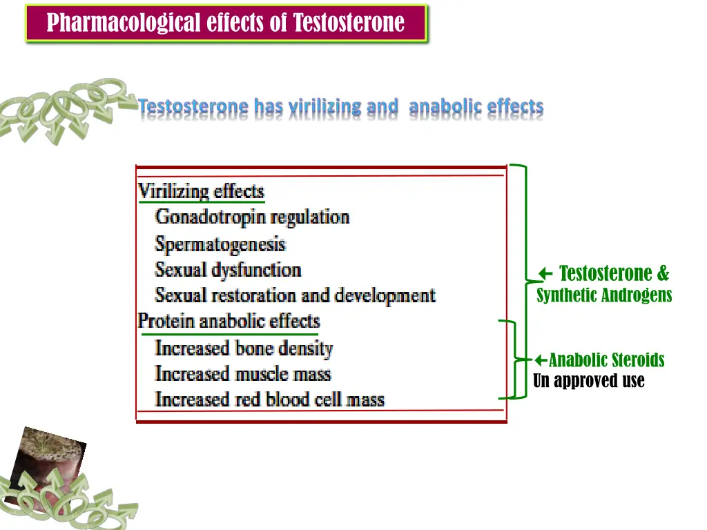 pharmacological effects of testosterone