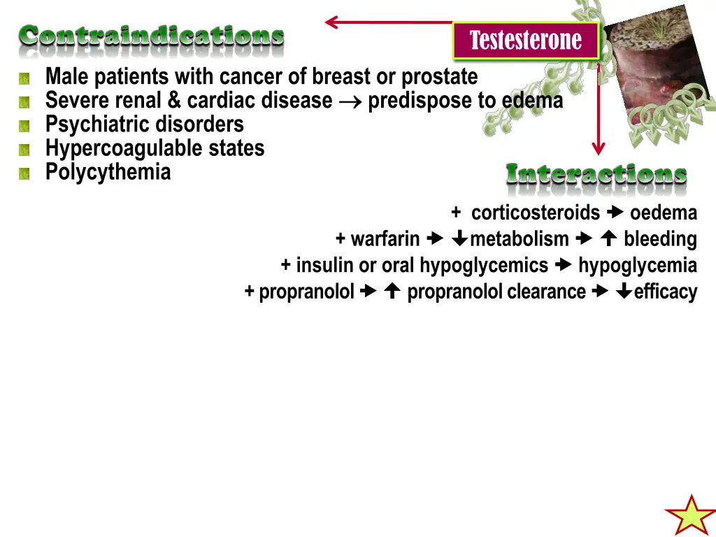 testesterone