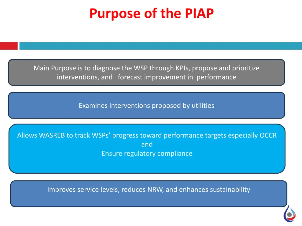 purpose of the piap