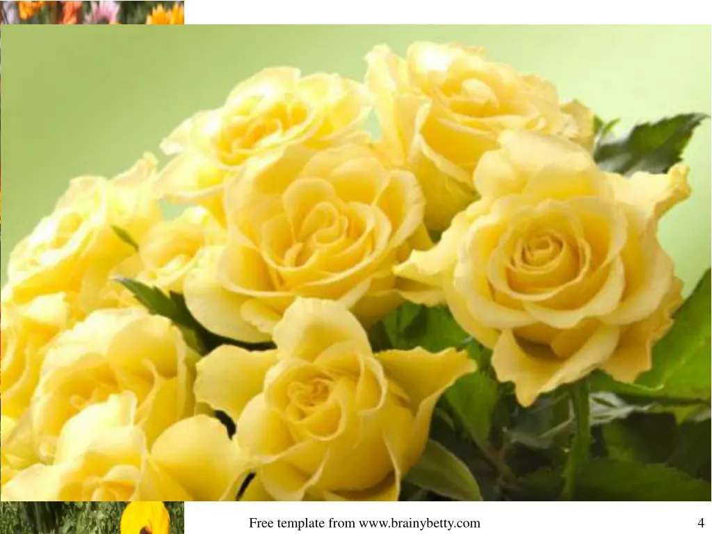 free template from www brainybetty com 1