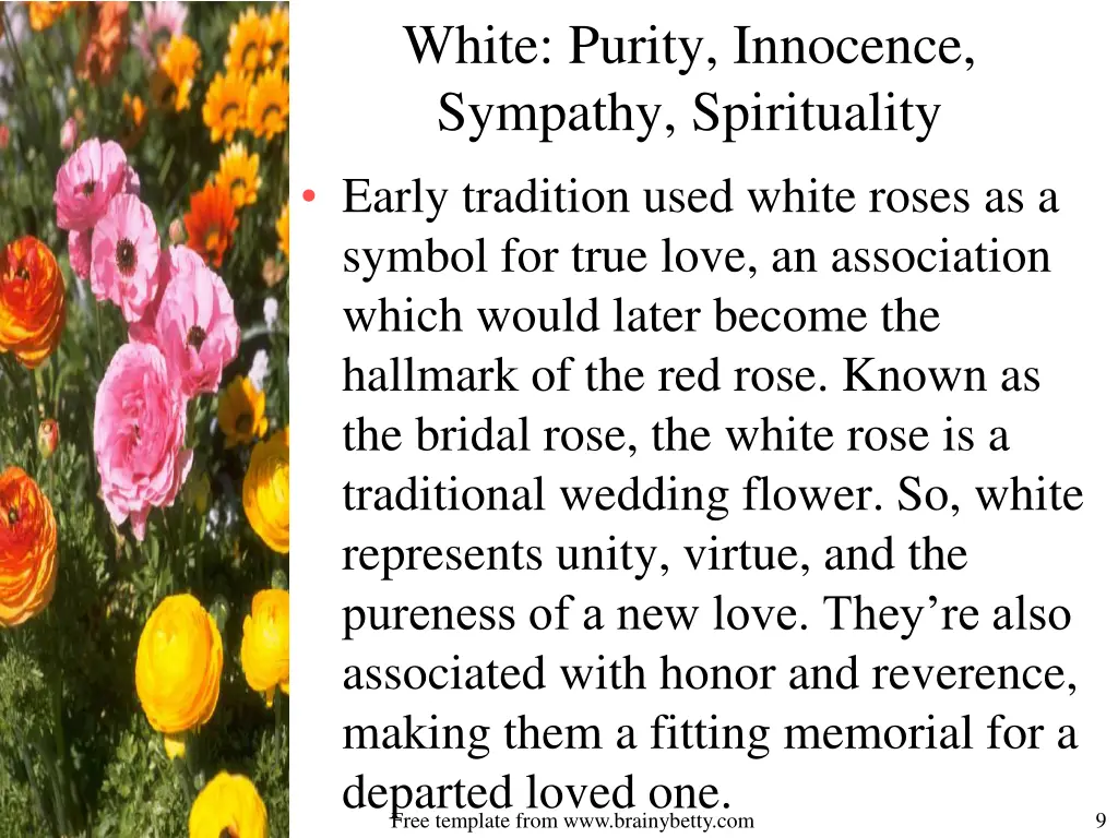 white purity innocence sympathy spirituality