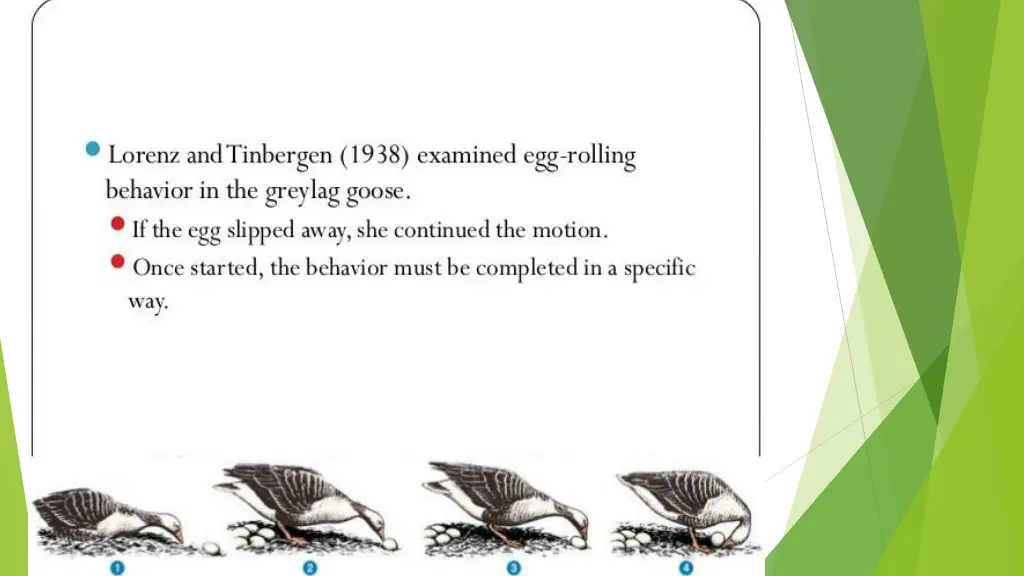 slide5
