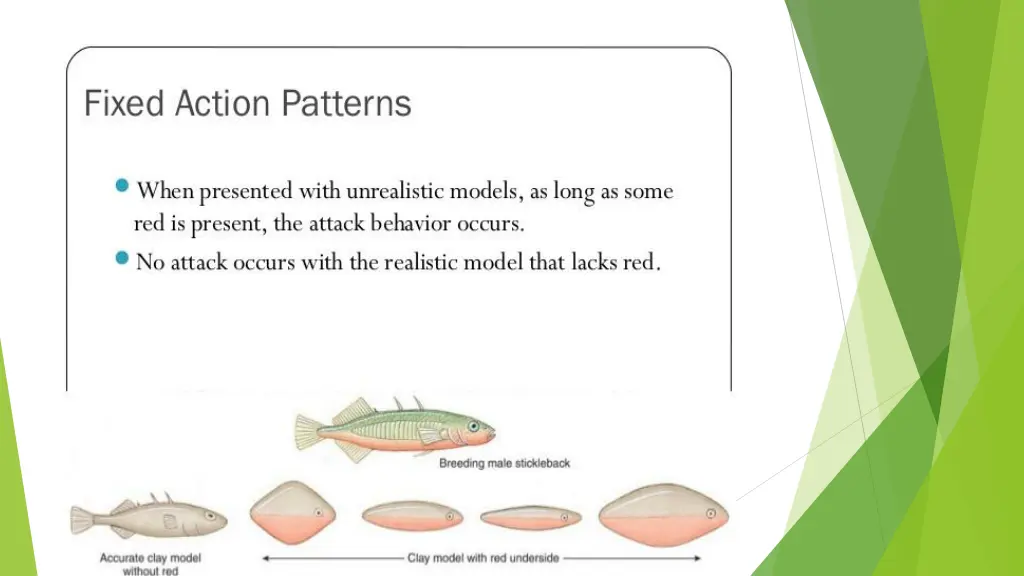 slide7