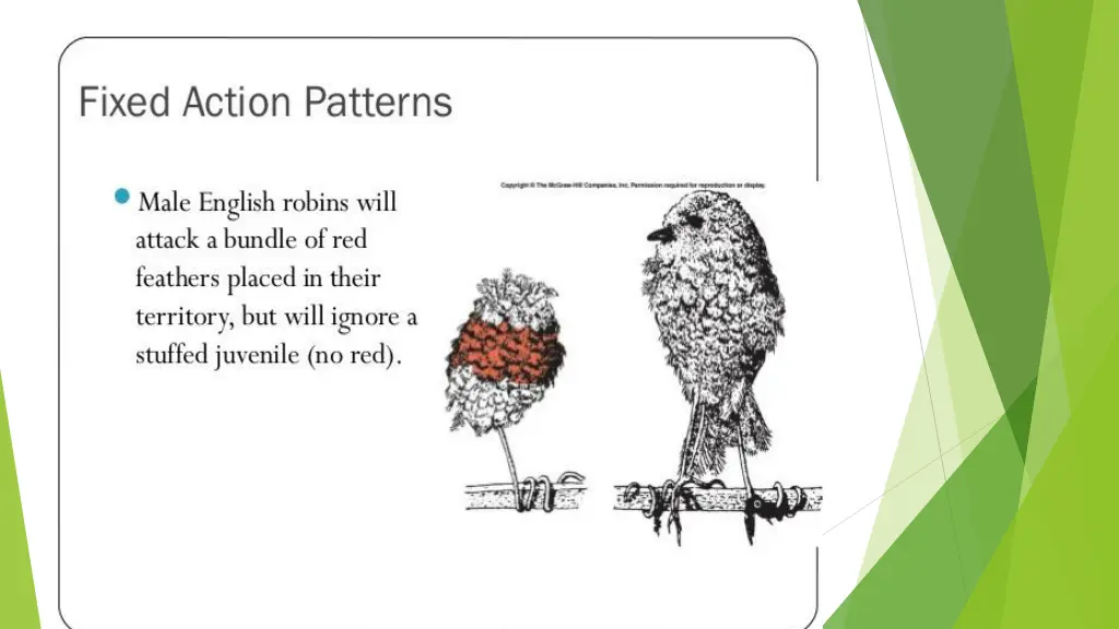 slide9
