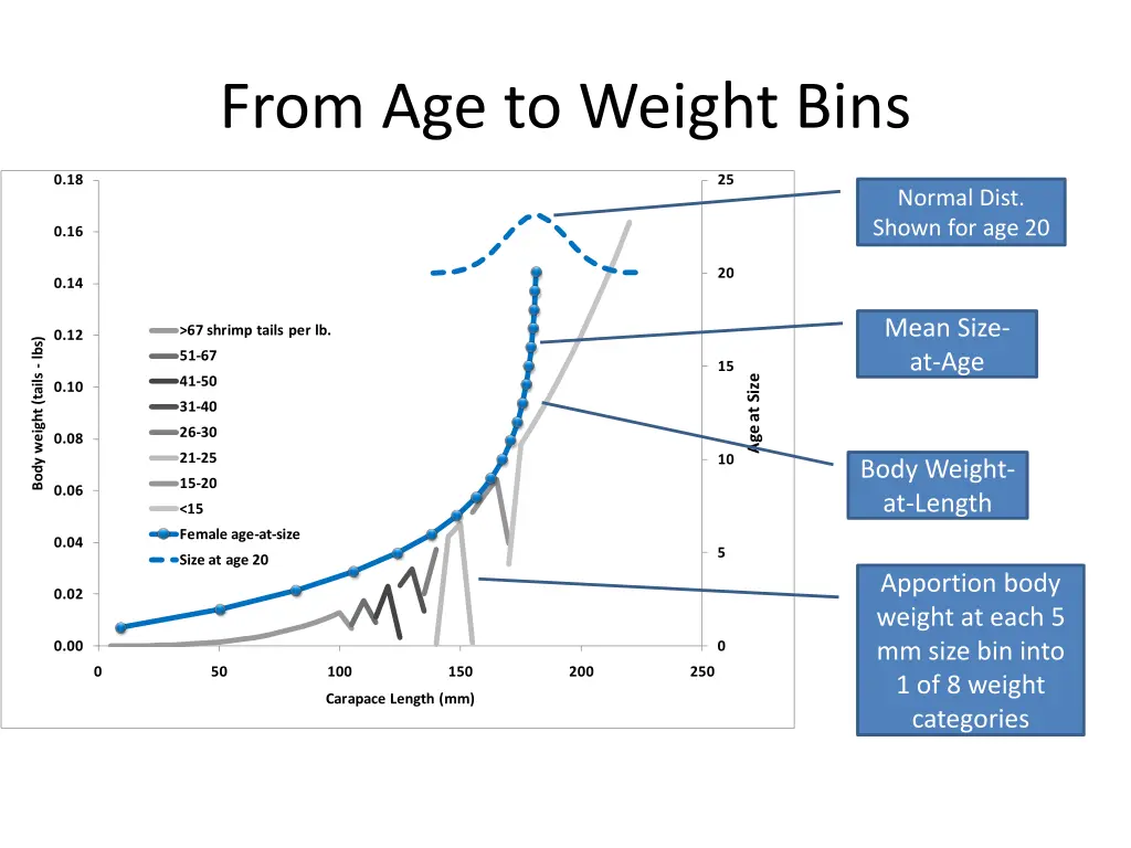 from age to weight bins