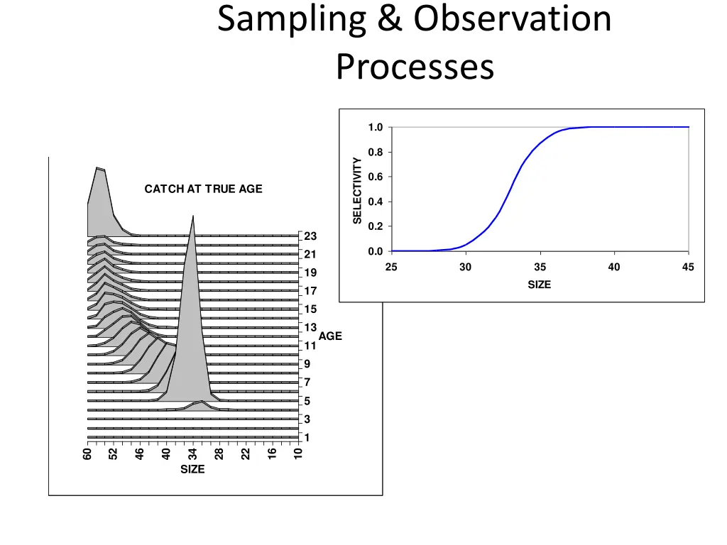 sampling observation processes
