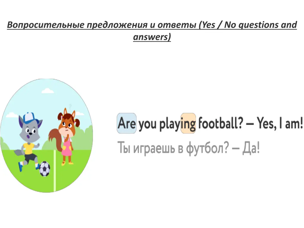 yes no questions and answers