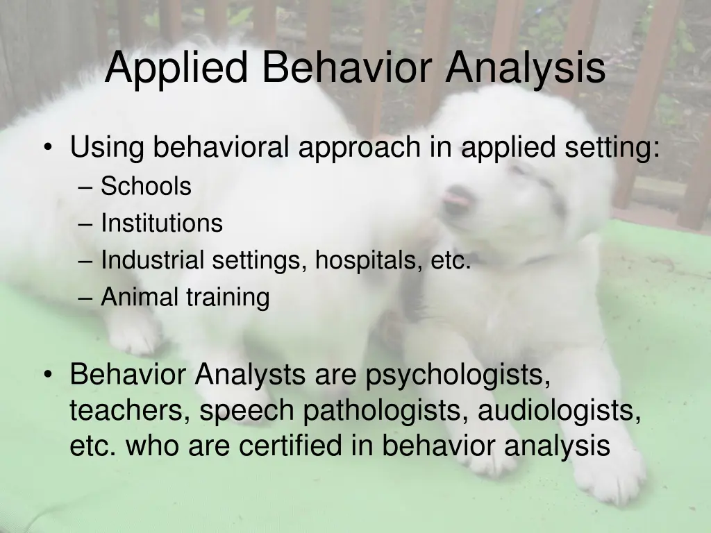 applied behavior analysis