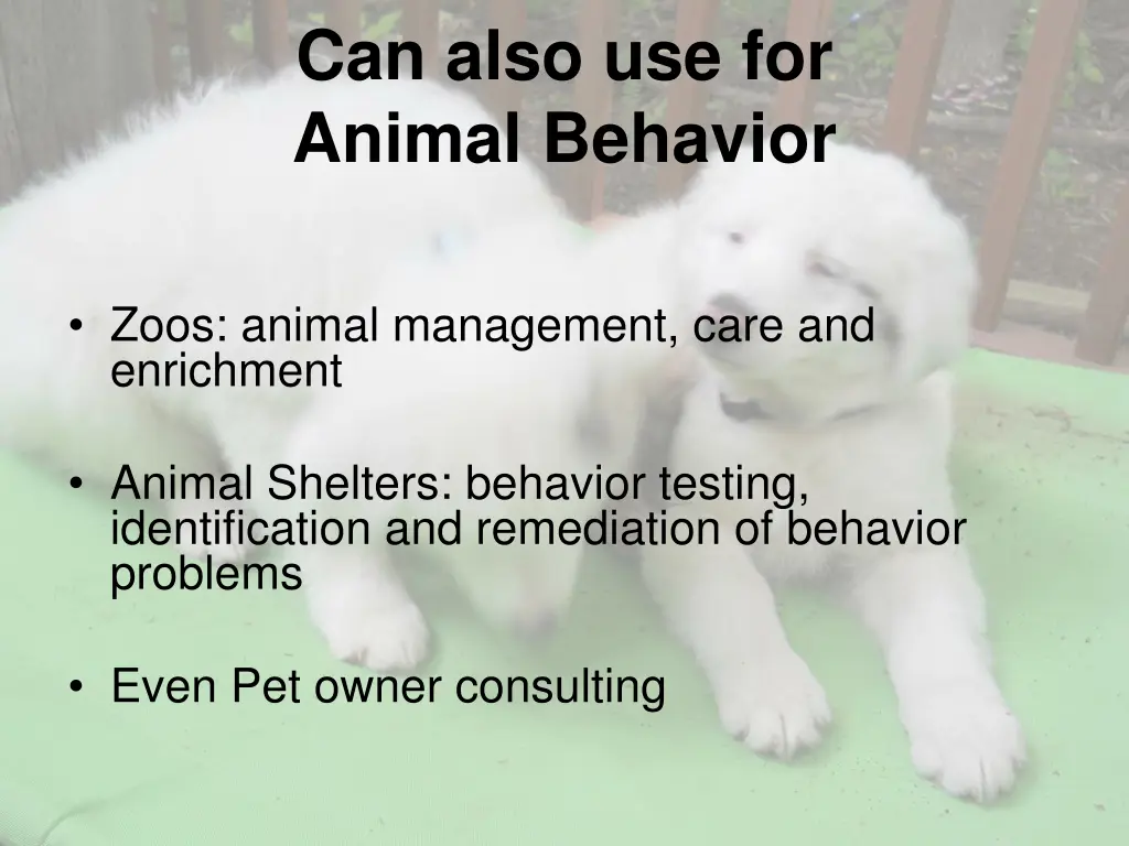 can also use for animal behavior