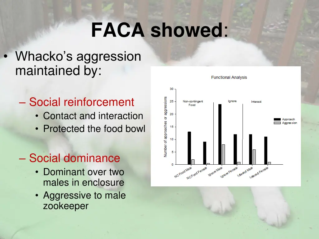 faca showed