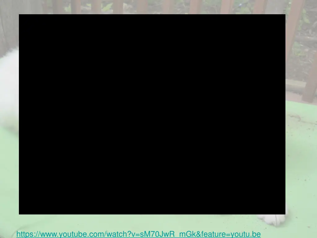 https www youtube com watch v sm70jwr mgk feature