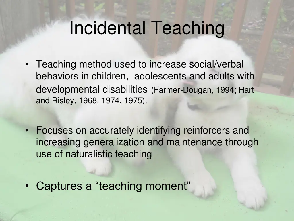 incidental teaching