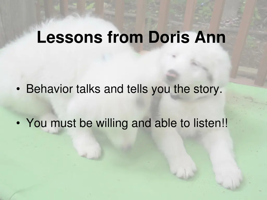 lessons from doris ann