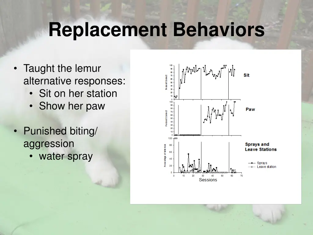 replacement behaviors