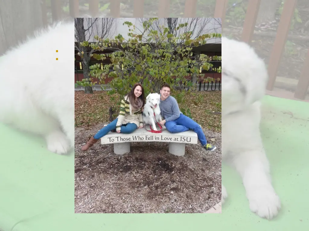 slide35