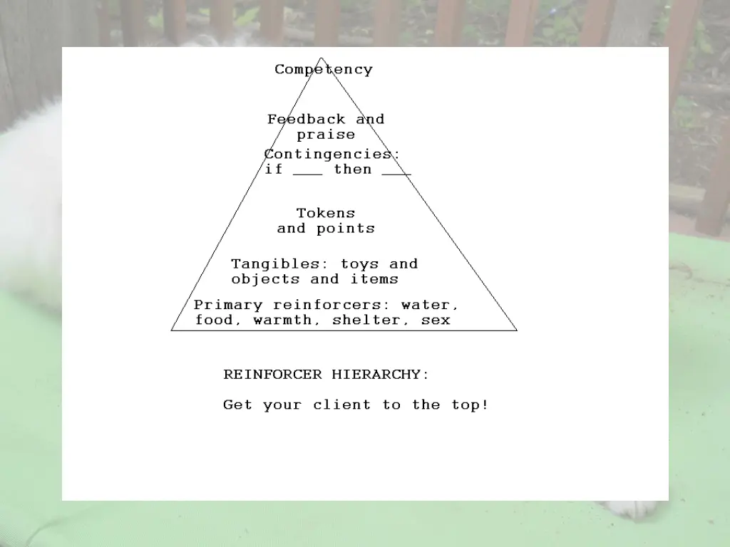 slide6