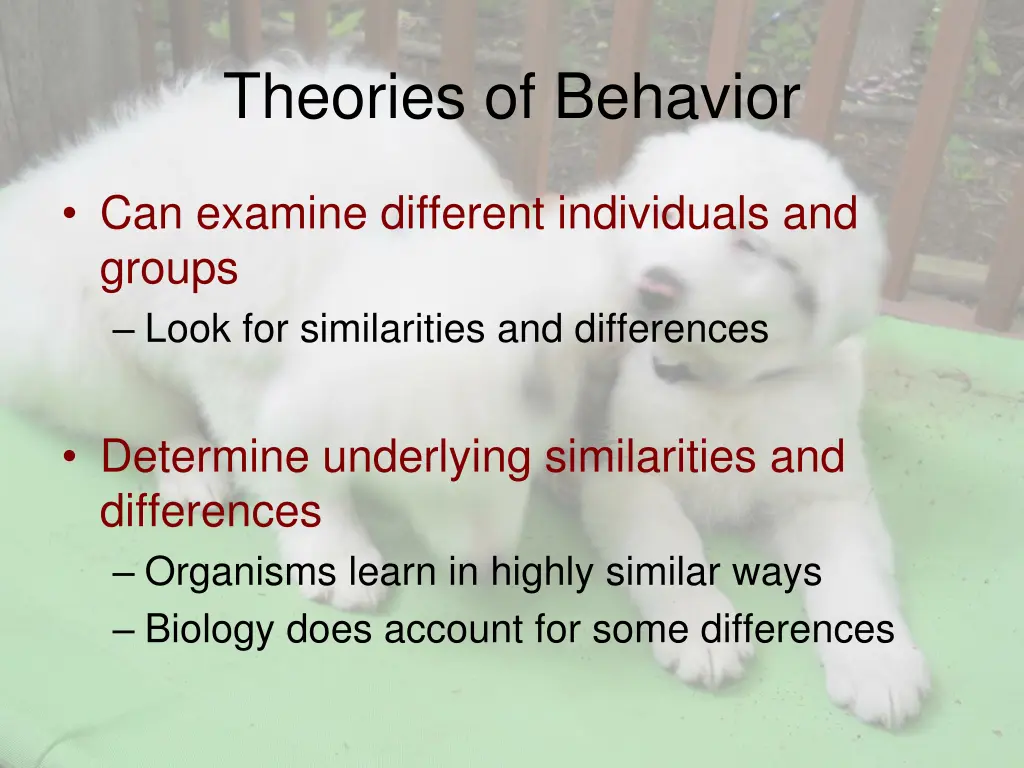 theories of behavior