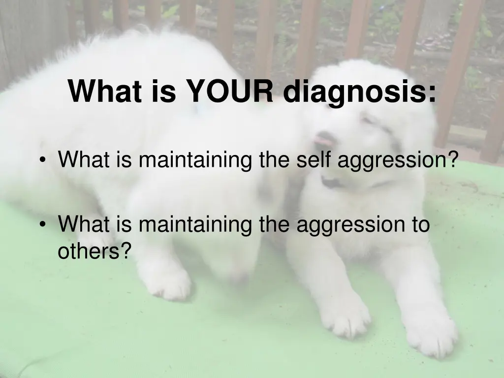 what is your diagnosis