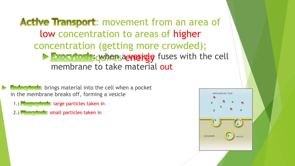 active transport movement from an area