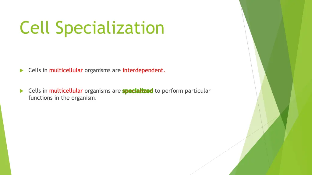 cell specialization