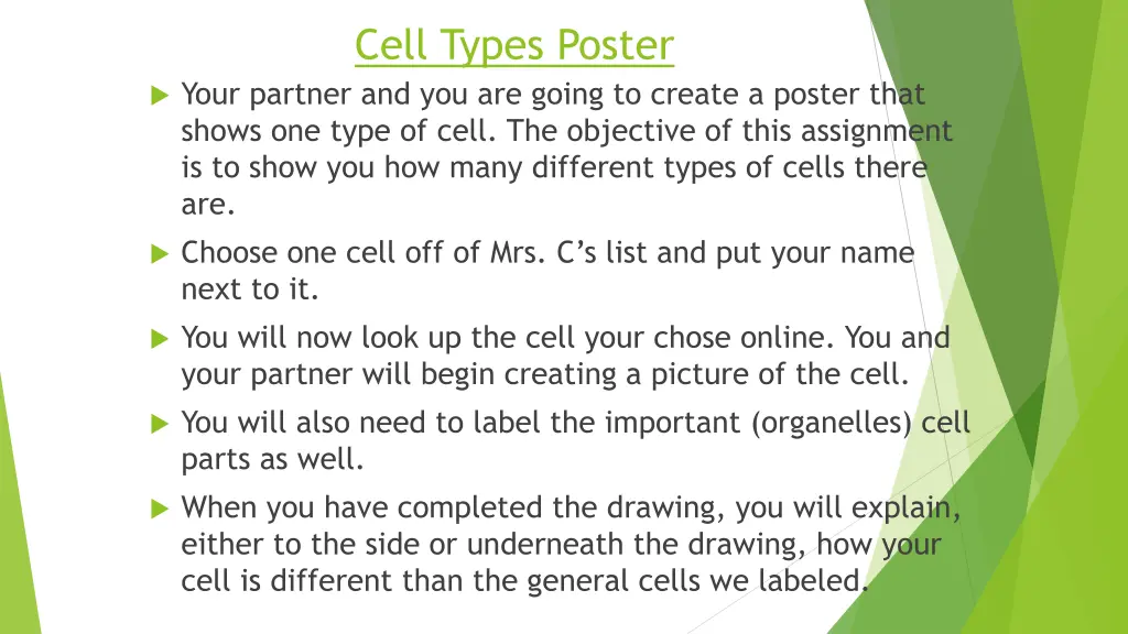 cell types poster