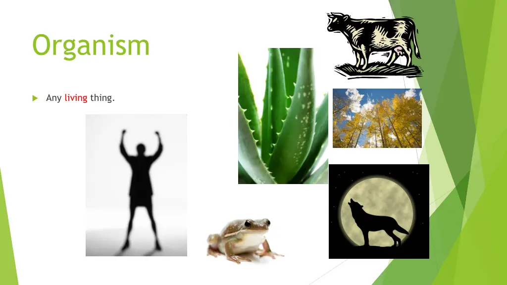 organism