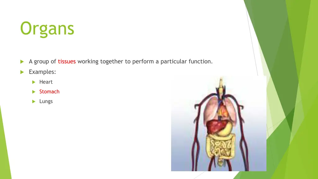 organs