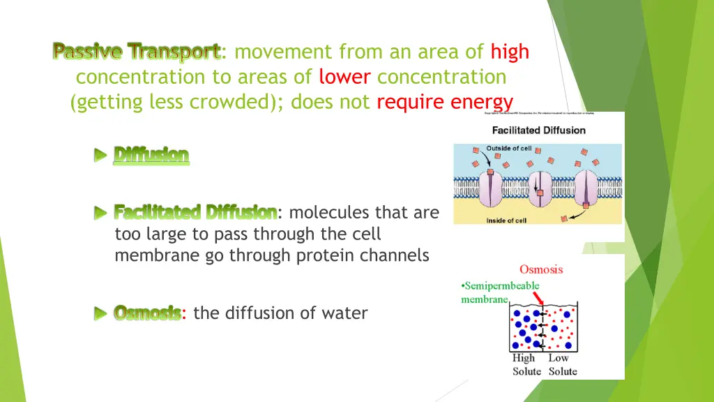 passive transport movement from an area of high