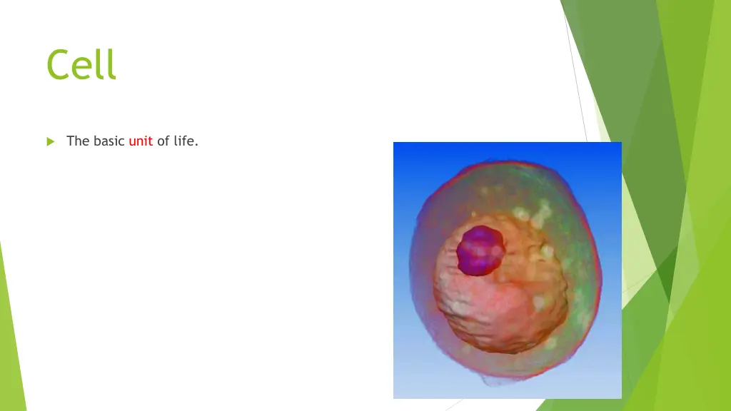 slide29