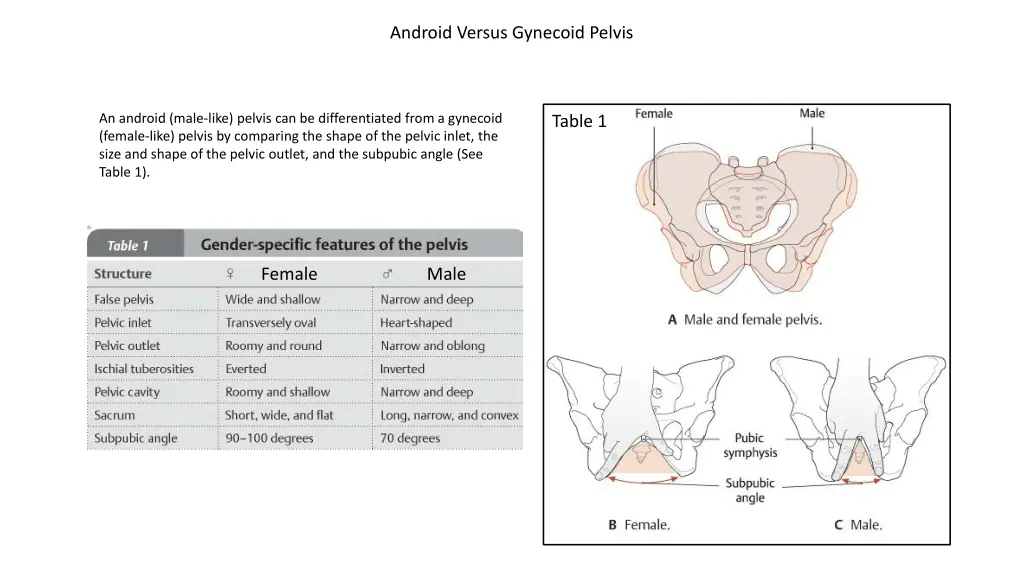 android versus gynecoid pelvis