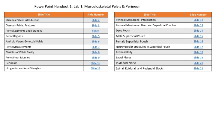 powerpoint handout 1 lab 1 musculoskeletal pelvis