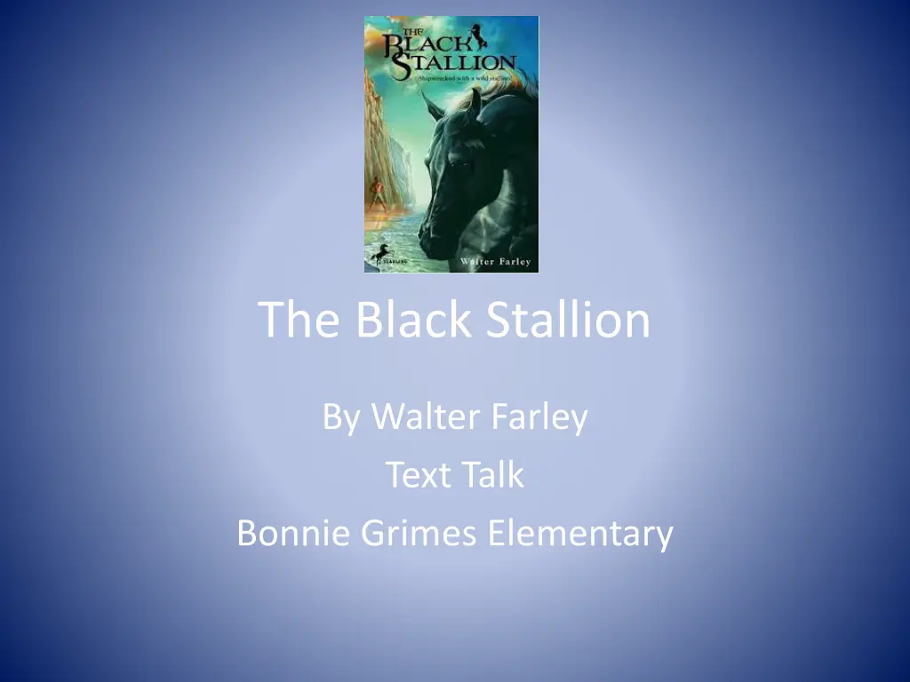 the black stallion
