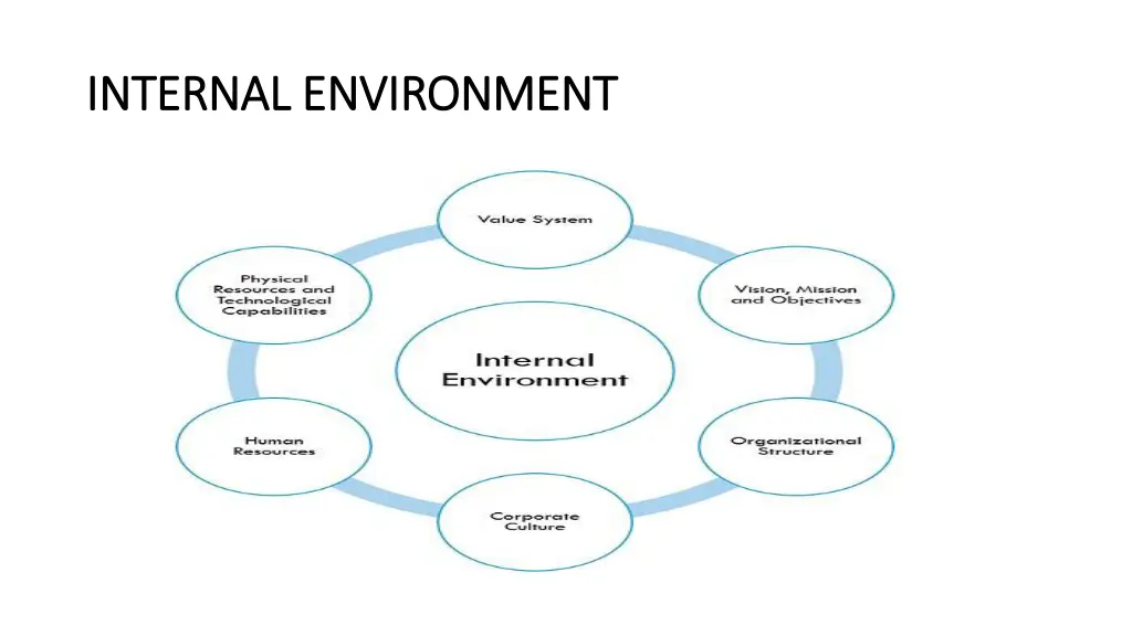 internal environment internal environment