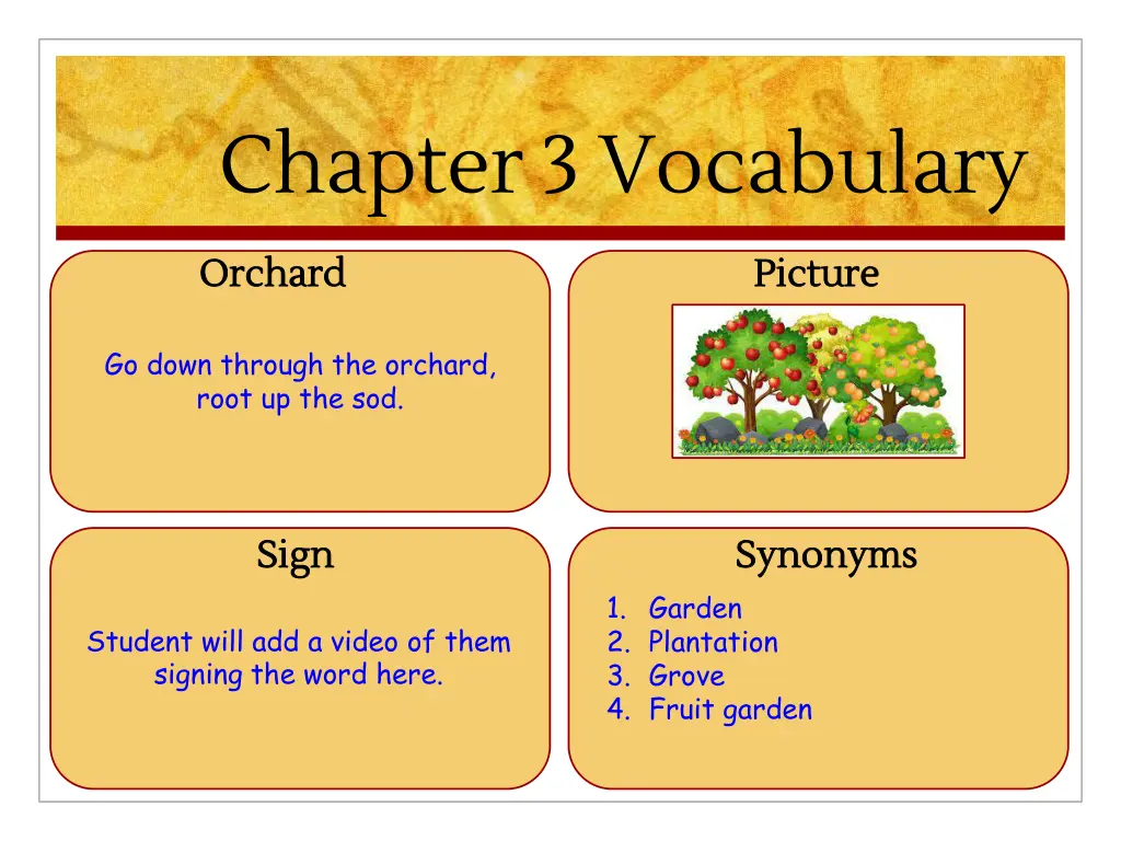 chapter 3 vocabulary 4