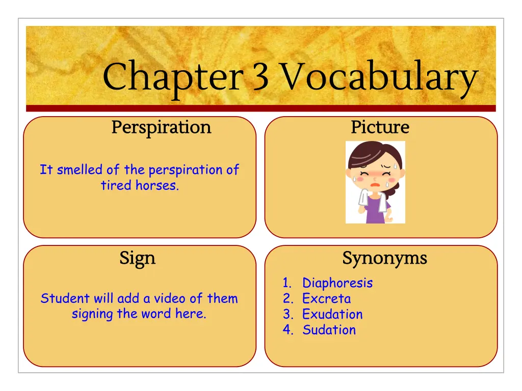 chapter 3 vocabulary