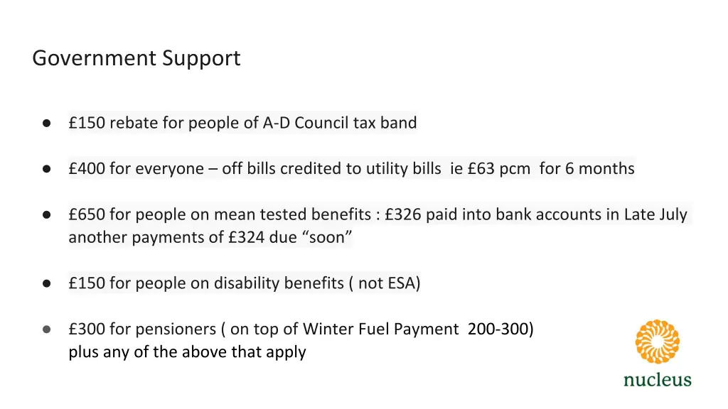 government support