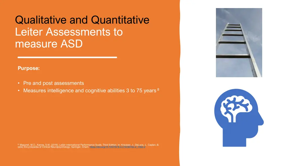 qualitative and quantitative leiter assessments