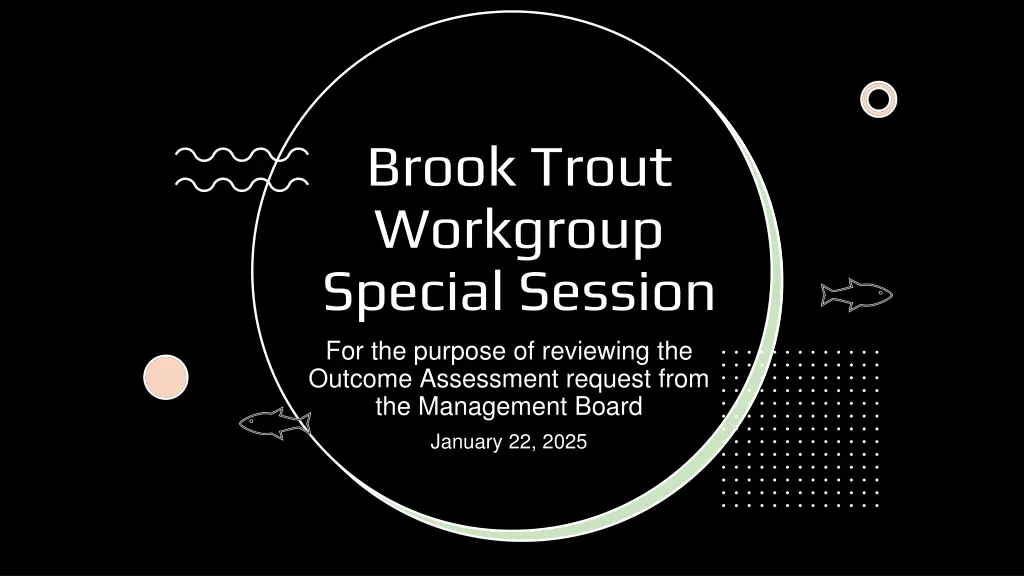 brook trout workgroup special session