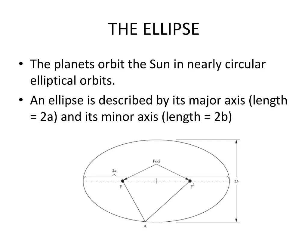 the ellipse