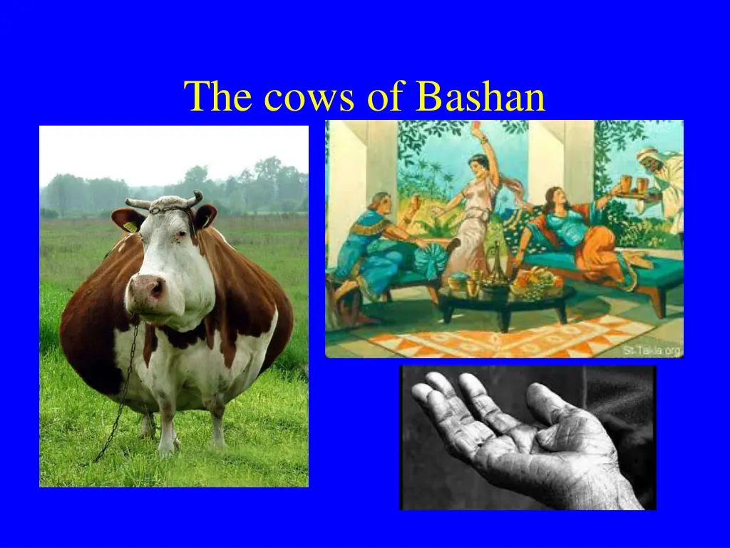 the cows of bashan
