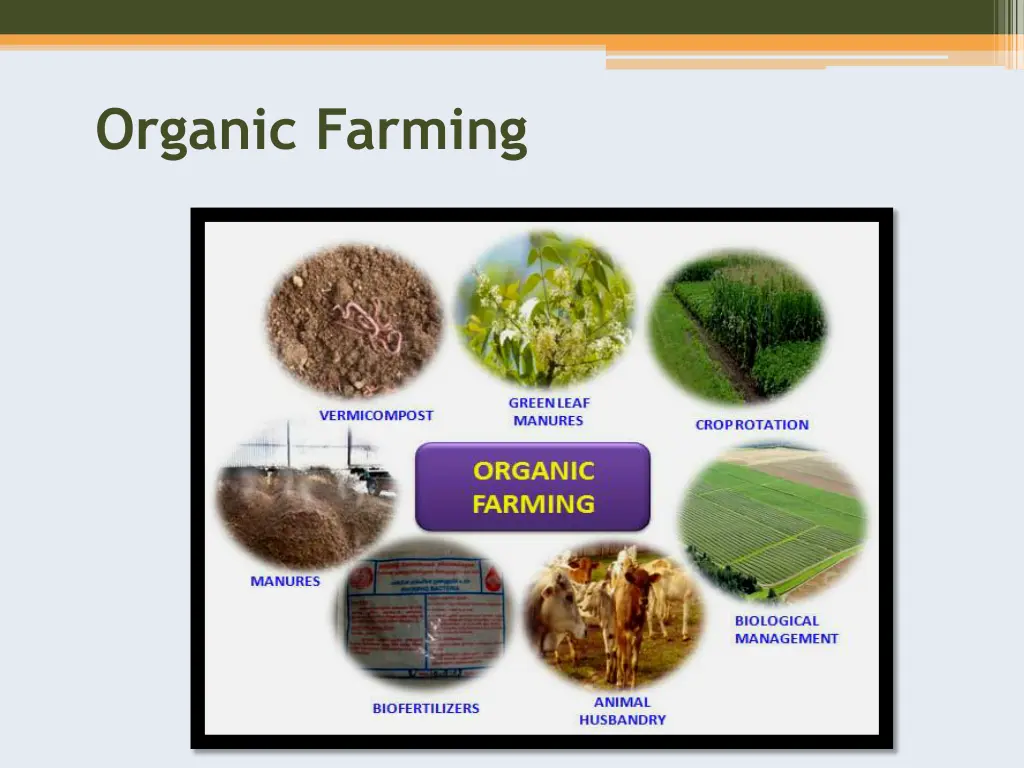 organic farming 1