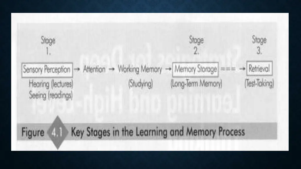 slide4