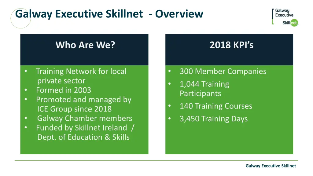 galway executive skillnet overview