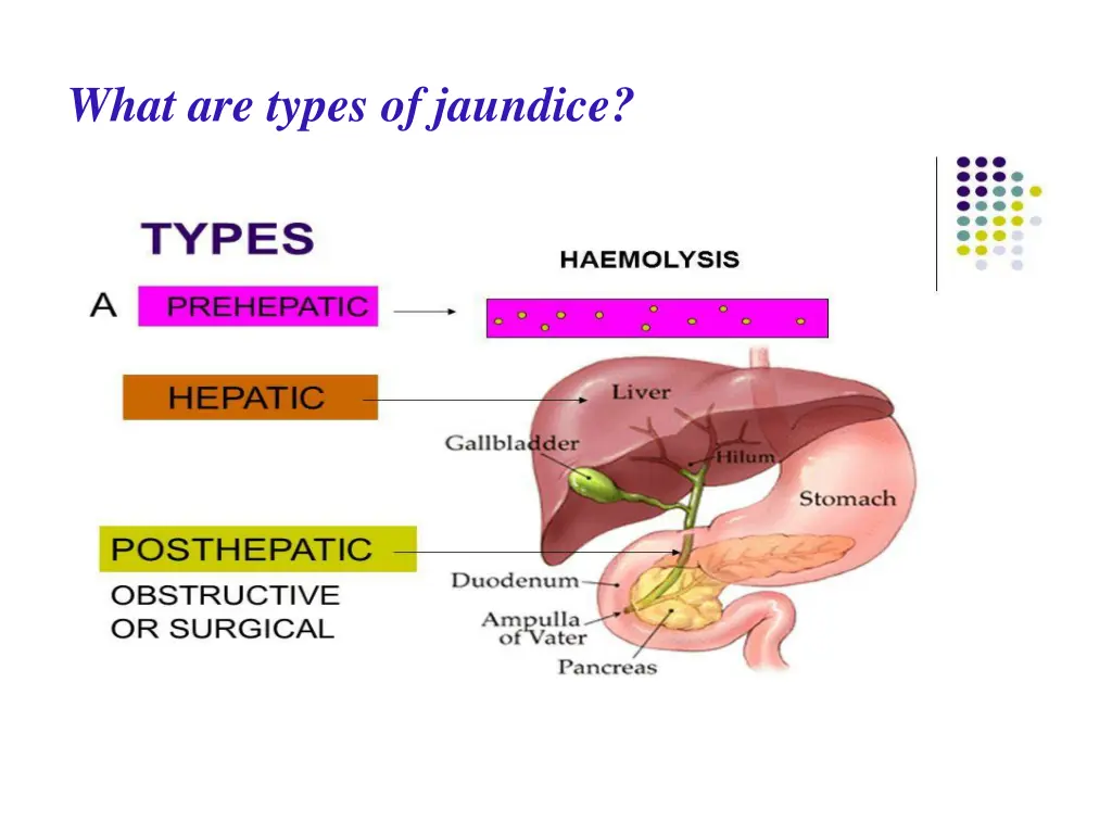 what are types of jaundice