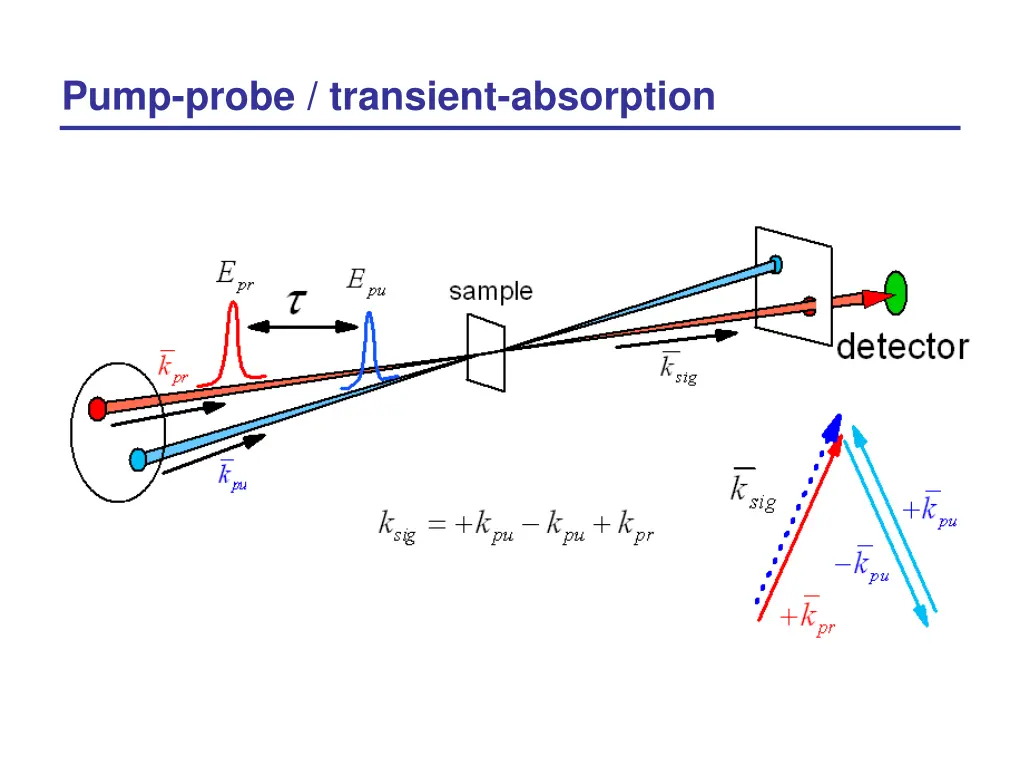 pump probe transient absorption