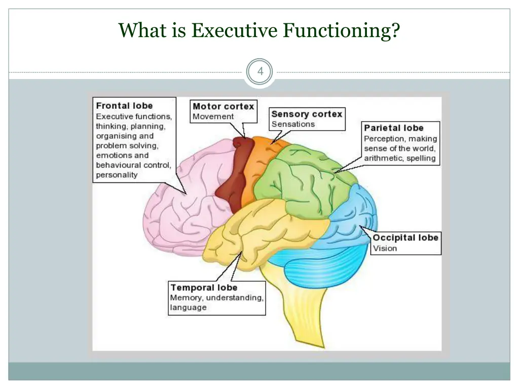 what is executive functioning