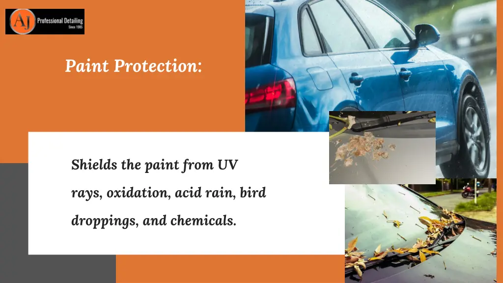 paint protection