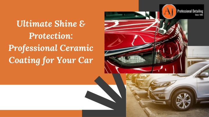 ultimate shine protection professional ceramic