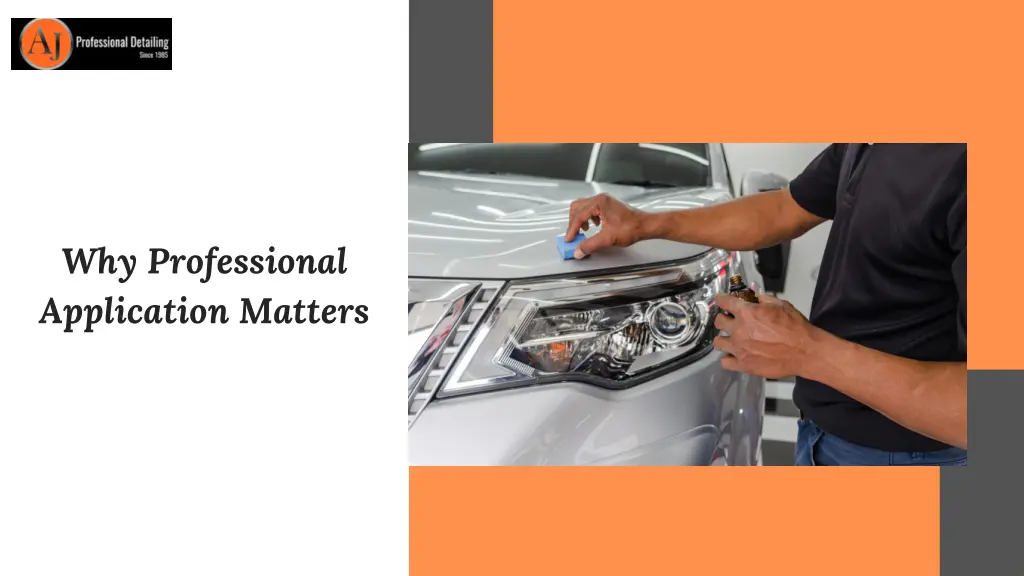 why professional application matters