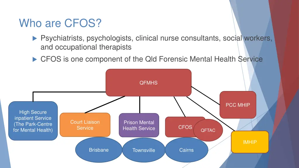 who are cfos